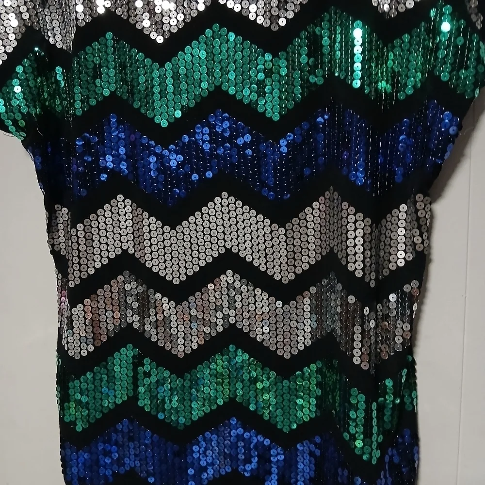 Dressbarn brand women's beautiful sequin Pullover top. Size 1X - Picture 3 of 9